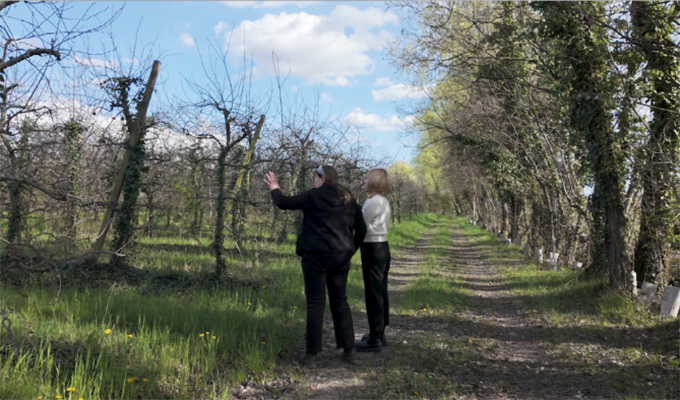 Two people having a conversation while standing on a path lined with trees in a farm