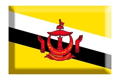 Brunei flag illustrations